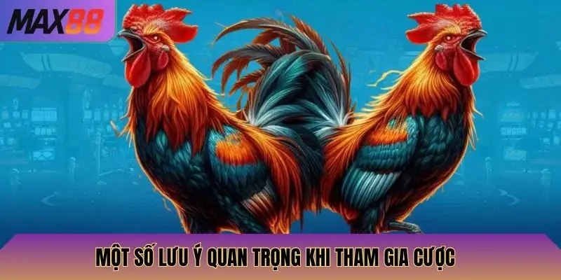Đá Gà Techplay Max88: Đấu Gà Techplay, Cược Và Thắng Lớn 4 Một số lưu ý quan trọng khi tham gia cược